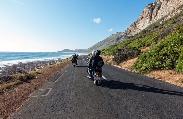 Full Day Cape Peninsula Motorcycle Tour on a Royal Enfield