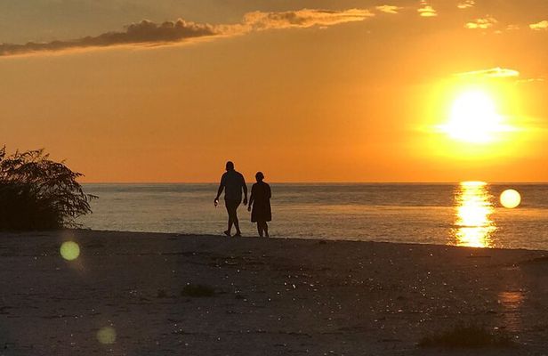 Sunset Eco Tour of Marco Island & 10,000 Islands