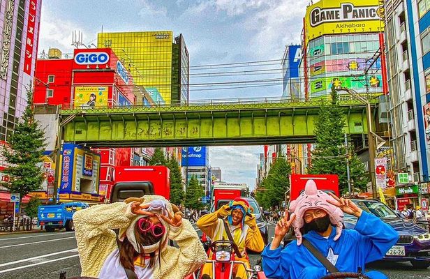 Official Street Go-Kart Tour - Akihabara