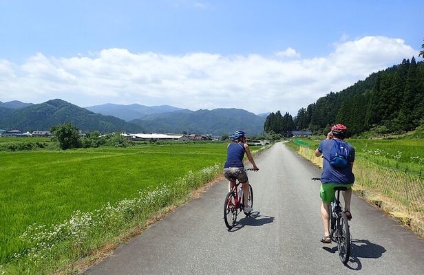 3.5h Bike Tour in Hida