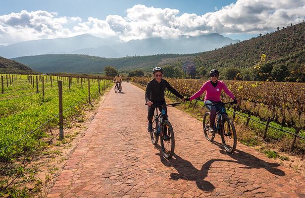 Franschhoek E-bike Ride & Wine w.Lunch