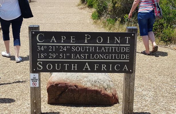 Private Sightseeing Tour to Table Mountain Penguins Cape Point