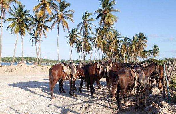 Horseback Riding Adventure in Punta Cana