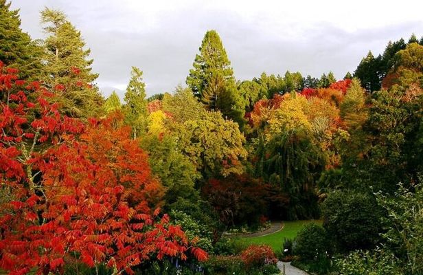 Eastwoodhill Arboretum and Rere Falls Private Tour. Gisborne Port