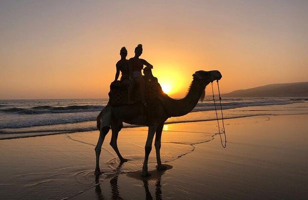 Agadir Dune Quad Bike and Sunset Camel ride Adventure 