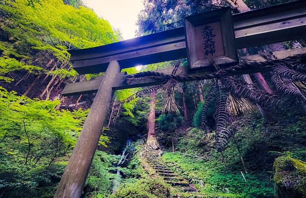 Real Ninja House X Samurai Castle: Private Drive Tour to Iga