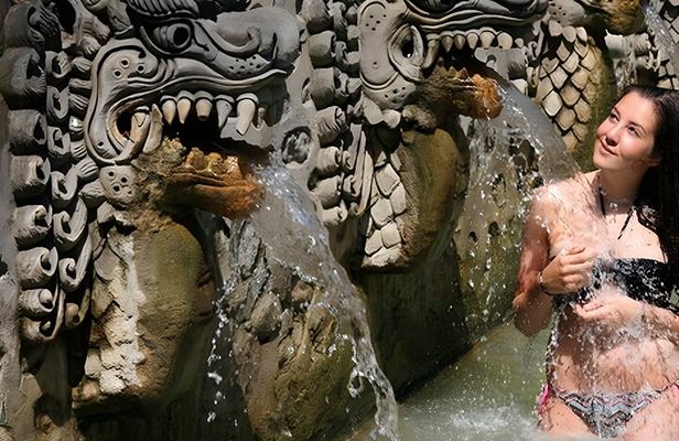Bali Full-Day Car Charter: Beauty of North Bali Tour