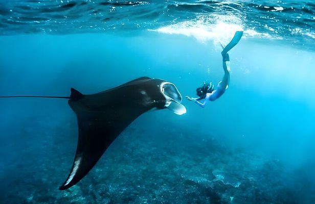 Nusa Penida Island Beach Tour With Snorkeling - Departure From Bali Island