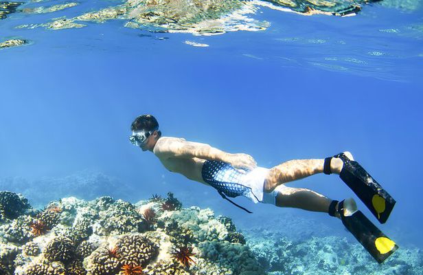 Blue Lagoon Snorkeling - Bali Best Snorkeling Site