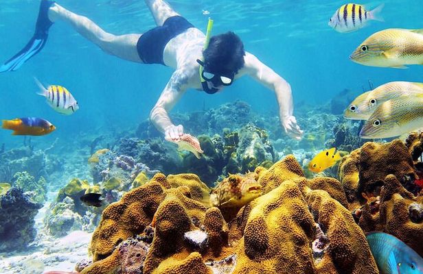 Day Tour To Nha Trang Coral Reef With BBQ Lunch & Mud Bath