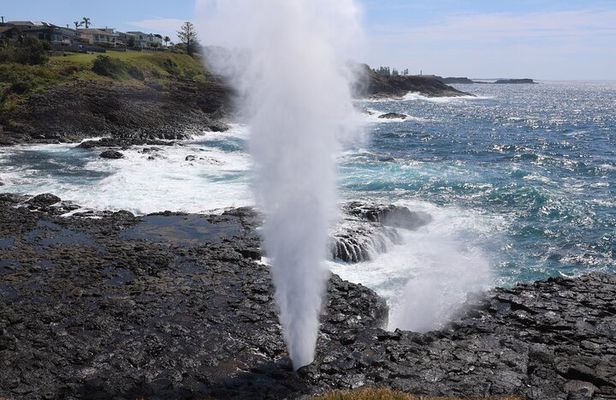 Private tour of Kiama Blowholes, Sea Cliff Bridge and Wattamolla