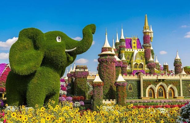 Miracle Garden Admission Tickets with Transfer Options