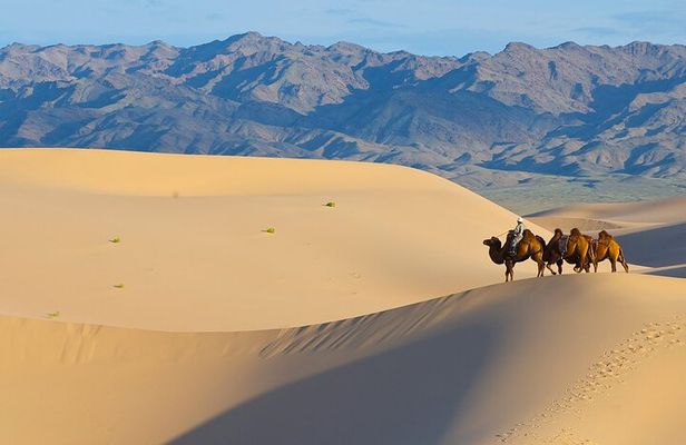 Captivating Central Mongolia with Guide