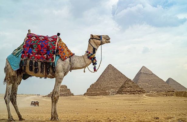 Private Tour To Giza Pyramids,Sphinx,panorama & Lunch