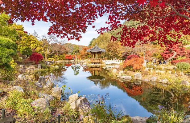 (Private tour) Nami Island + Railbike + Garden of morning calm