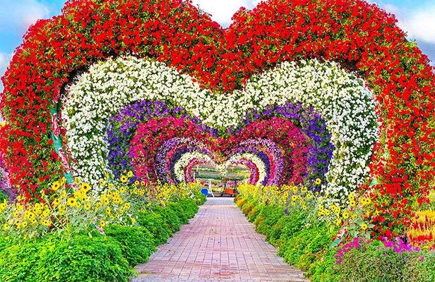 Private Dubai City Tour with Miracle Garden Ticket