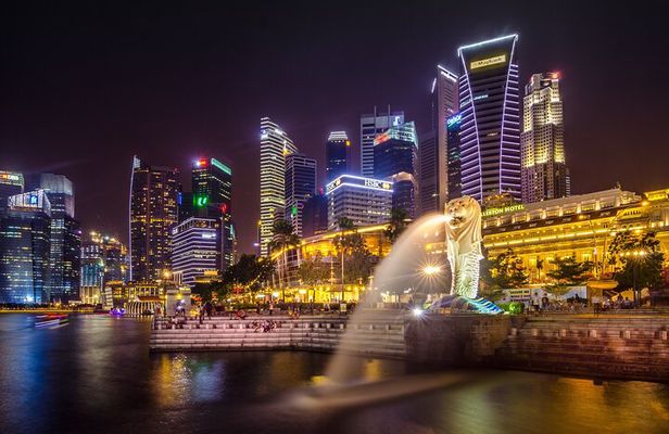 Singapore Starry Night : Cruise, Garden Rhapsody & Spectra Show