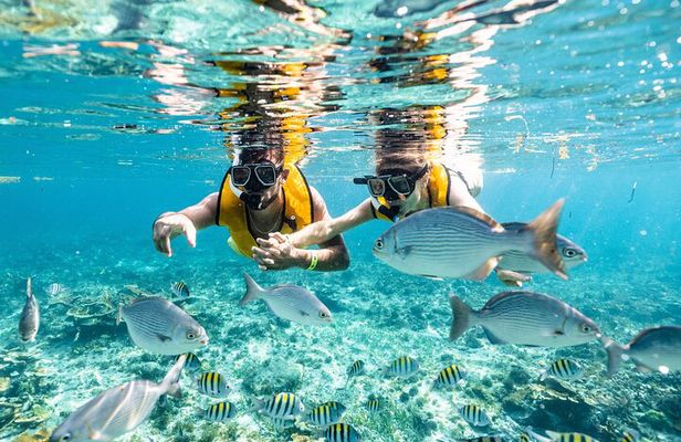 3 in 1 Snorkeling, Parasailing, with Meco Ruins Free