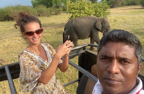From Colombo/Negombo to Sigiriya, Dambulla Day Trip & Safari