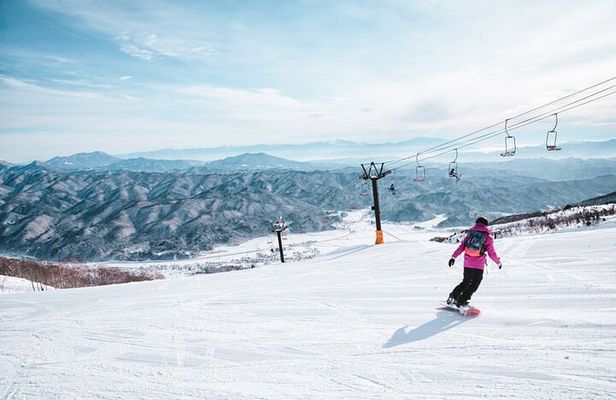 Full Day Private Skiing / Snowboarding Tour in Sapporo