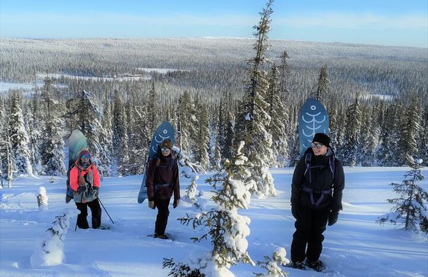 Private 2-Hour Snowboarding in Levi