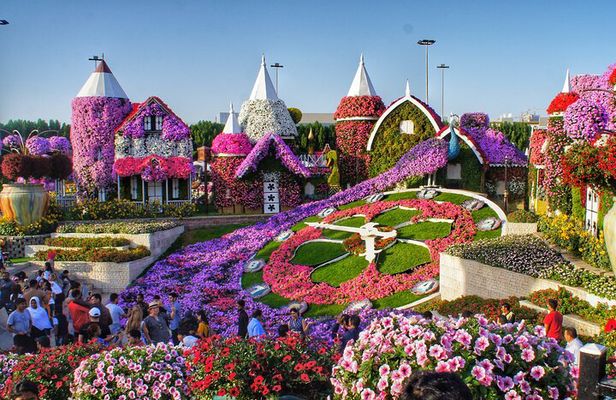 Dubai Miracle Garden Admission Ticket with Hotel Transfer