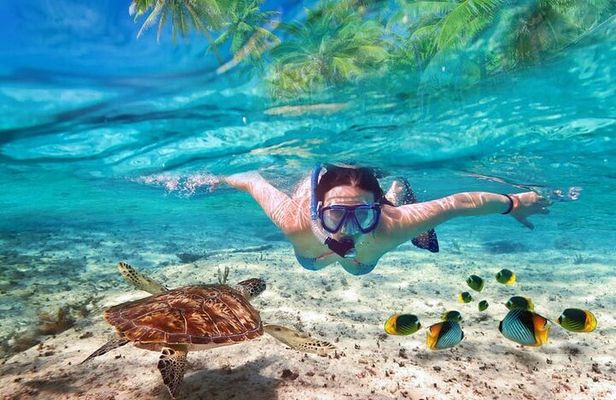 Guided Visit to Puerto Morelos with Snorkeling Included