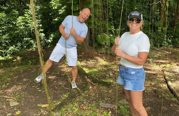 St.Kitts See It All The Local Behind The Scenes Tour Of St. Kitts