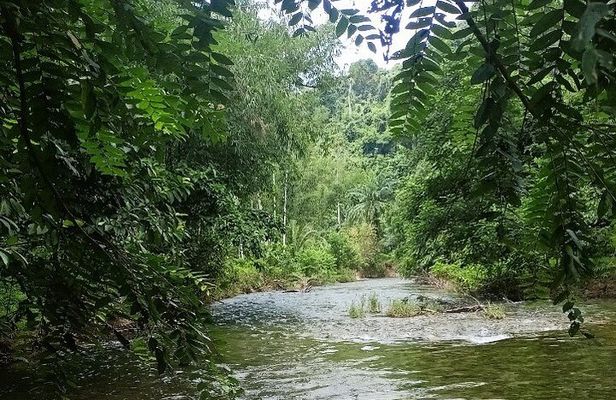 30 Minutes Khaolak ATV Quadbike & Waterfall Adventure