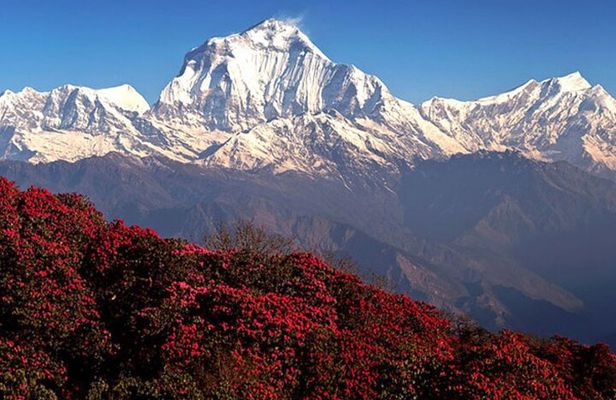10 Days Private Guided Annapurna Basecamp Trek via Poon Hill