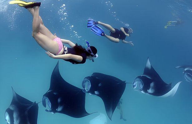 Bali Full-Day Tour to Exploring Nusa Penida Island with Snorkeling From Bali