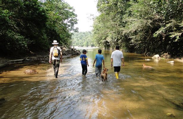 3 days Jungle Tour Expedition Amazonia in Ecuador rainforest