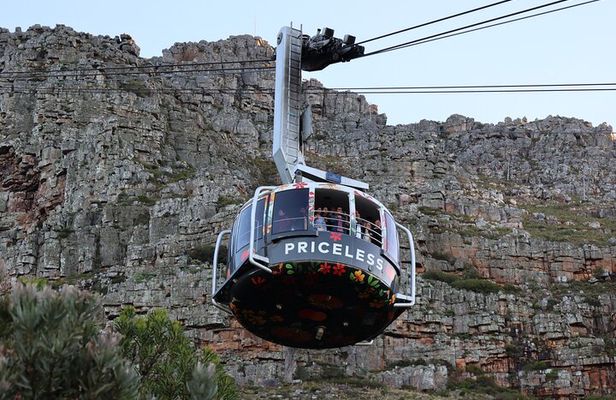 Private Cape Of Good Hope Tour with Table Mountain Ticket Including Park Fees