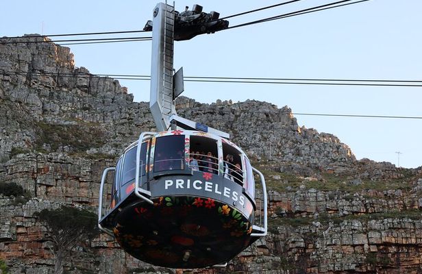 Cape Town: Cape of Good Hope Tour, Penguin Beach & Table Mountain