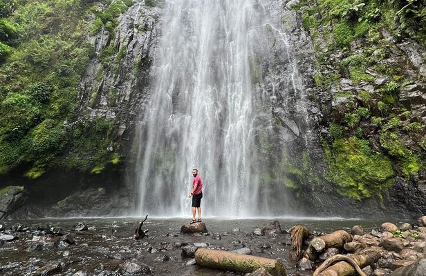 Private tour : Materuni Waterfalls & Coffee Tour with Local Lunch