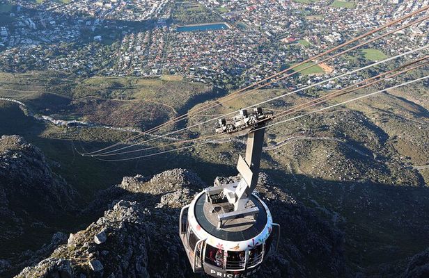 Cape Of Good Hope and Table Mountain Day Trip from Cape Town parks fees include