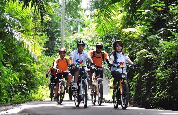 Bali Cycling and Ubud Waterfall Tour