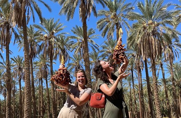 Private two-day tour in Biskra Date Palm Grove