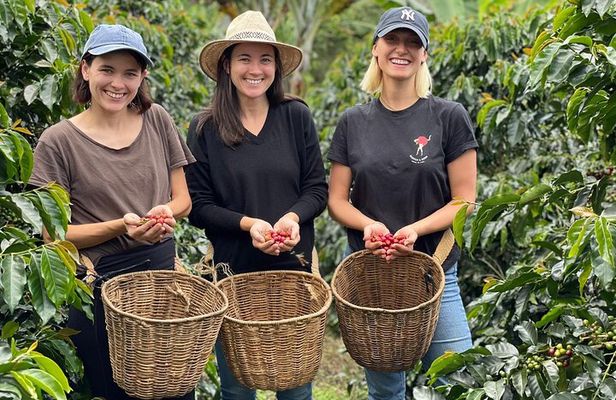 Coffee Tour and Jeep Tour at Finca Mariposa in Jardin