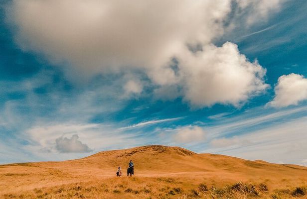 Private Horseback Riding on Easter Island
