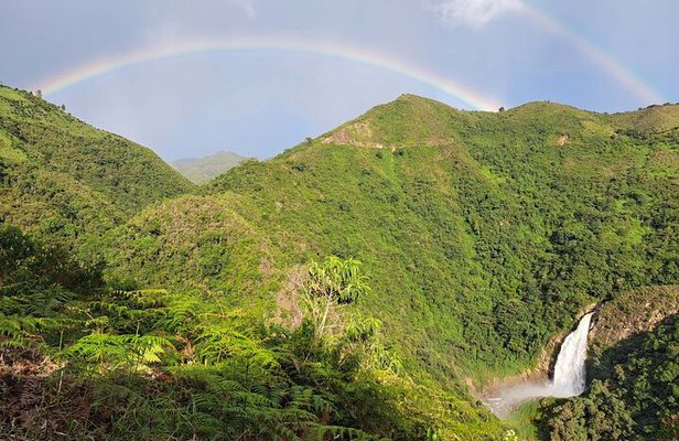 Medellín Private Tour with Waterfall adventure Zipline & Hiking