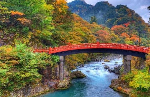 From Tokyo: Nikko Private 1-Day Sightseeing trip with Guide