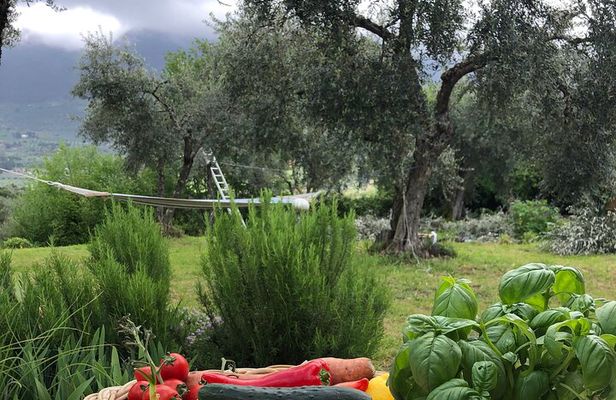 Cooking course Italian cooking together in Palombara Sabina