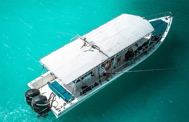 Snorkeling Experience at Ad Daymaniyat Islands in Muscat