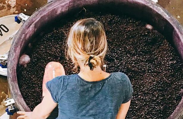 Organic & Biodynamic Wine Adventure in Mendoza