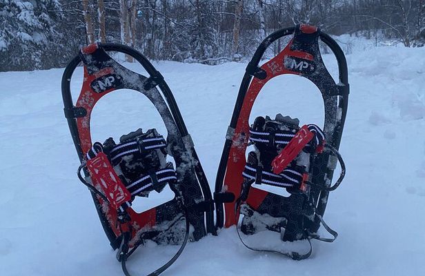 Winter Family Fun Day in Palmer Alaska