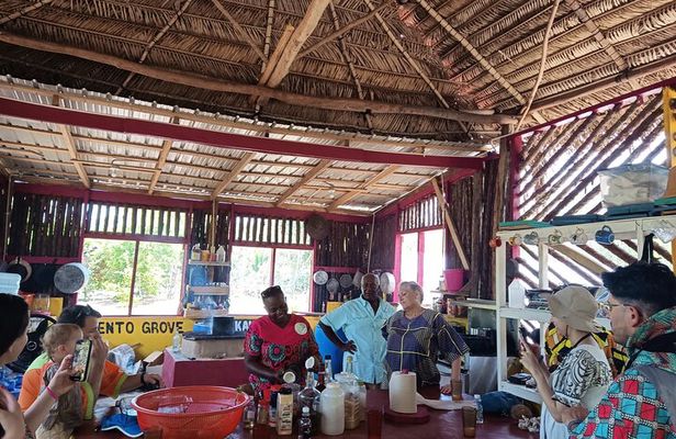 Garifuna Cultural and Culinary Experience in Hopkins Belize
