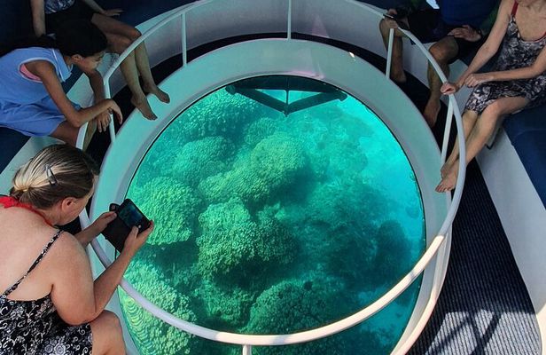 Dimaniyat Island Tour on Glass Bottom Boat (Muscat)