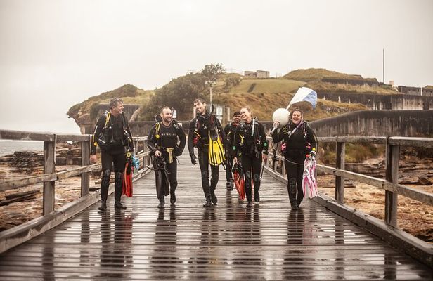 Half-Day Private Discover Dive at Australia's Iconic Beach