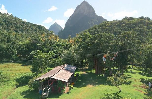 Morne Coubaril 3 in 1 Zipline Rum Chocolate and Lunch Experience